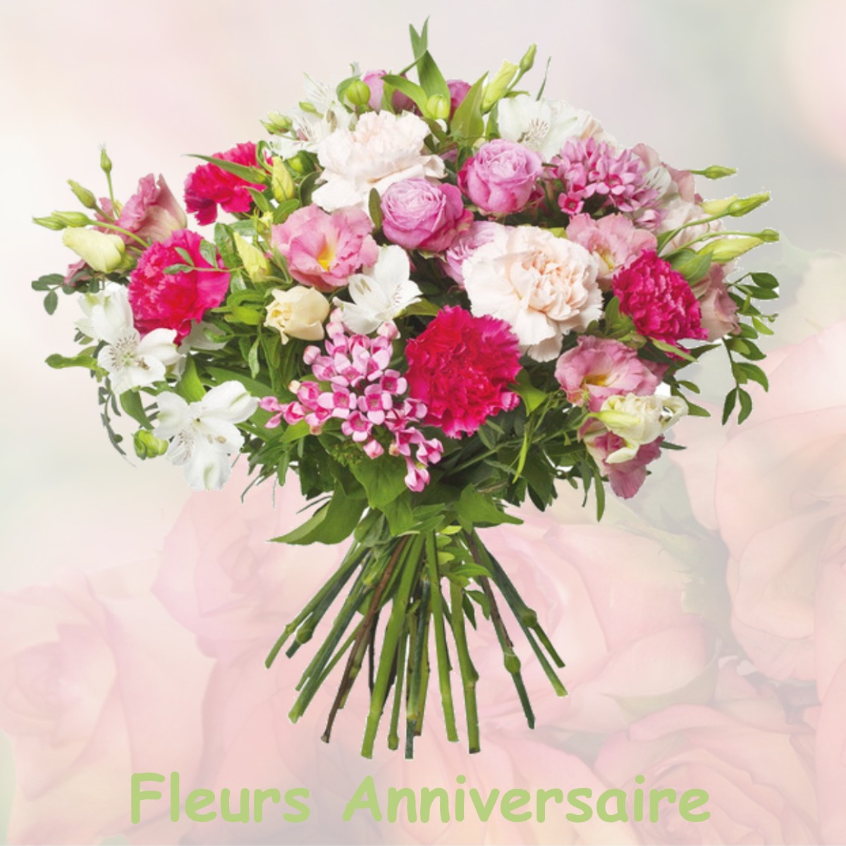 fleurs anniversaire BOURGEAUVILLE